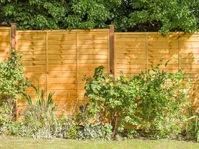 Fencing at Elliotts