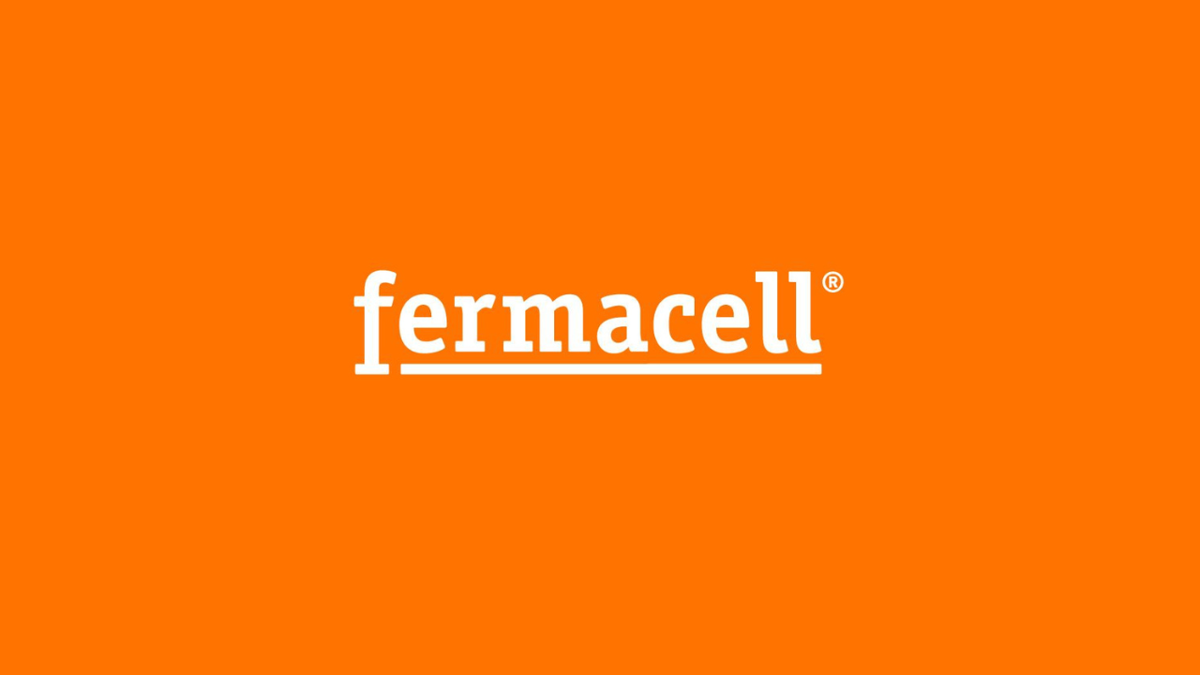 fermacell