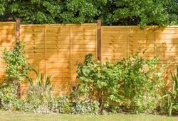 Grange superior lap fence panel - available at Elliotts