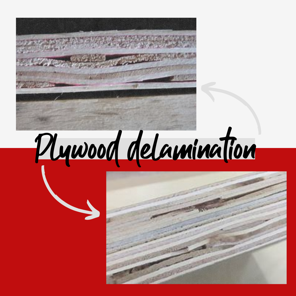 Examples of plywood delamination - Elliotts