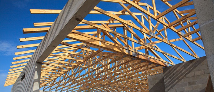 Roof trusses from below