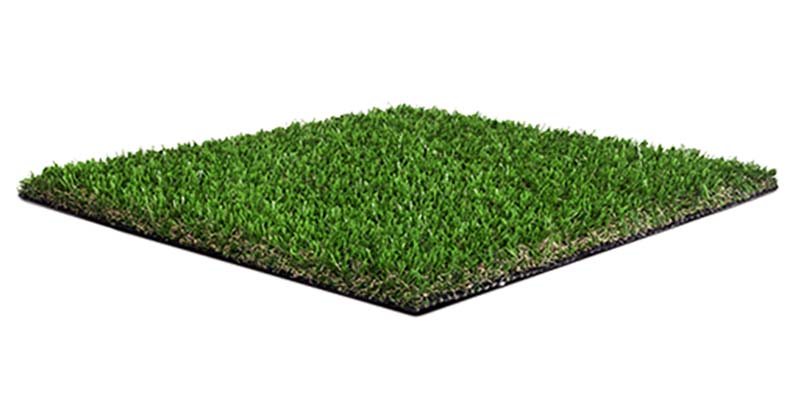 Moss Removal Guide RealTurf Artificial Grass Installation